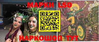 гидра Будённовск